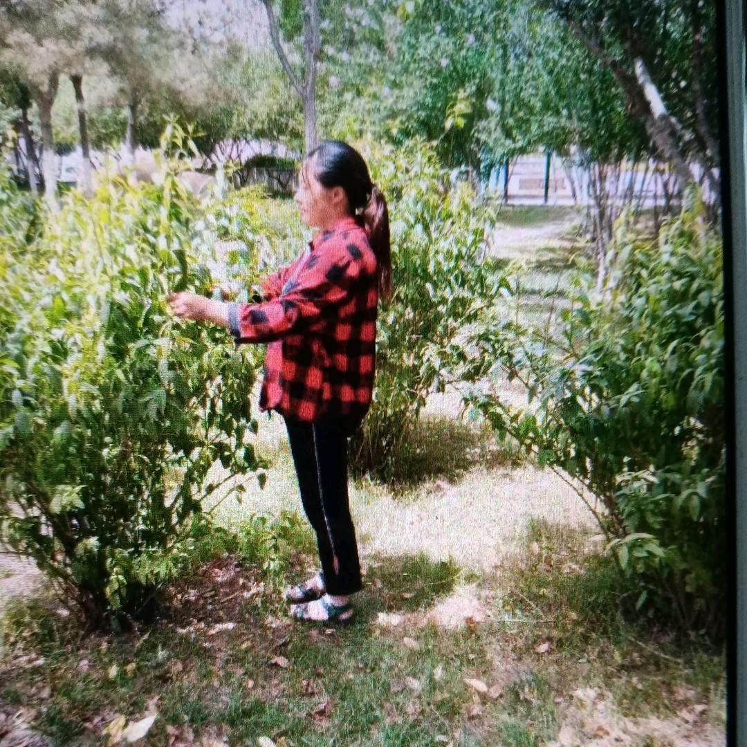 陈妹