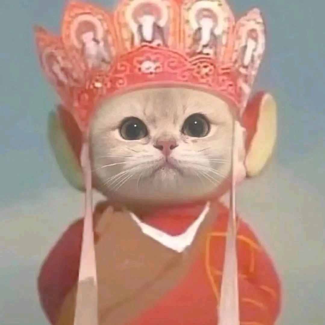 晚上吃什么