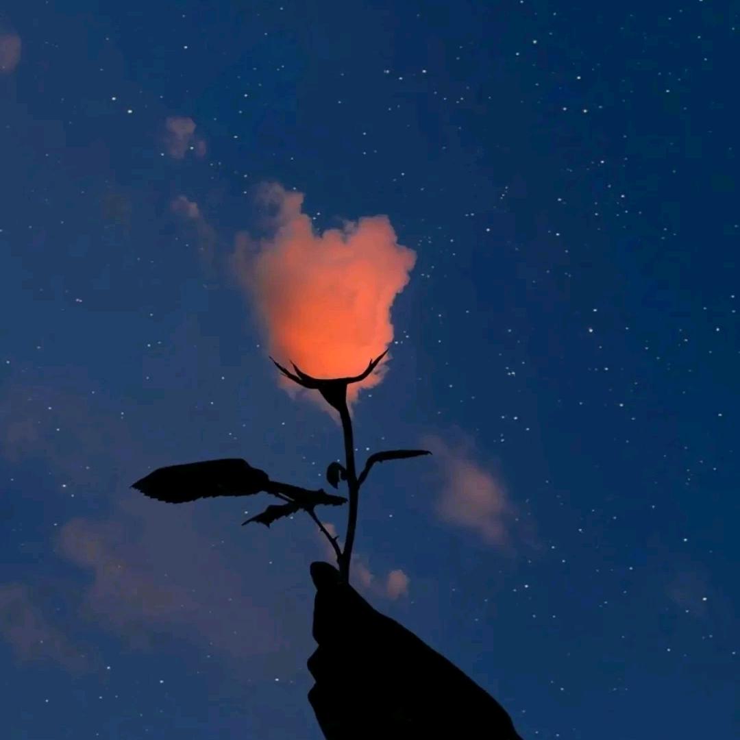 朽木开花