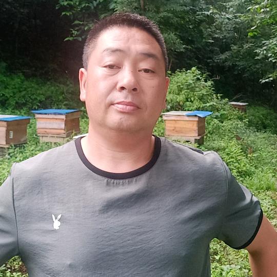 单身蜂司令