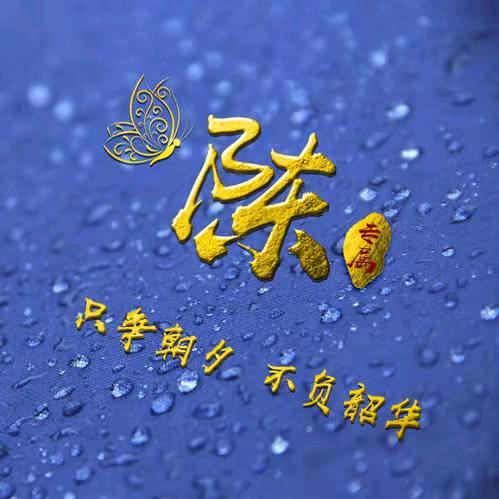 新的一年，新的开始