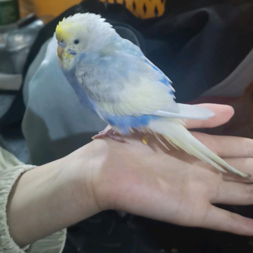 🌈空空如也🌈