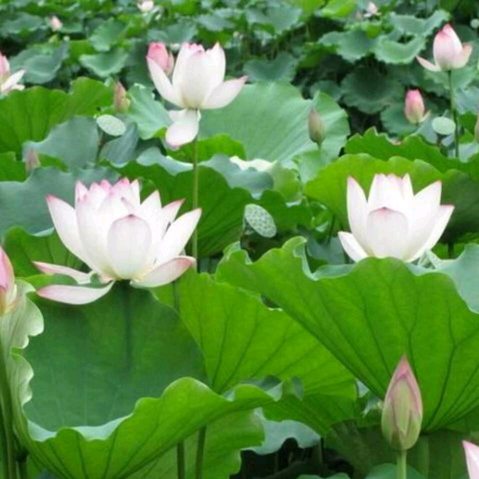 珍惜幸福