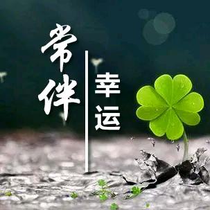 🍀 幸运的胖哥