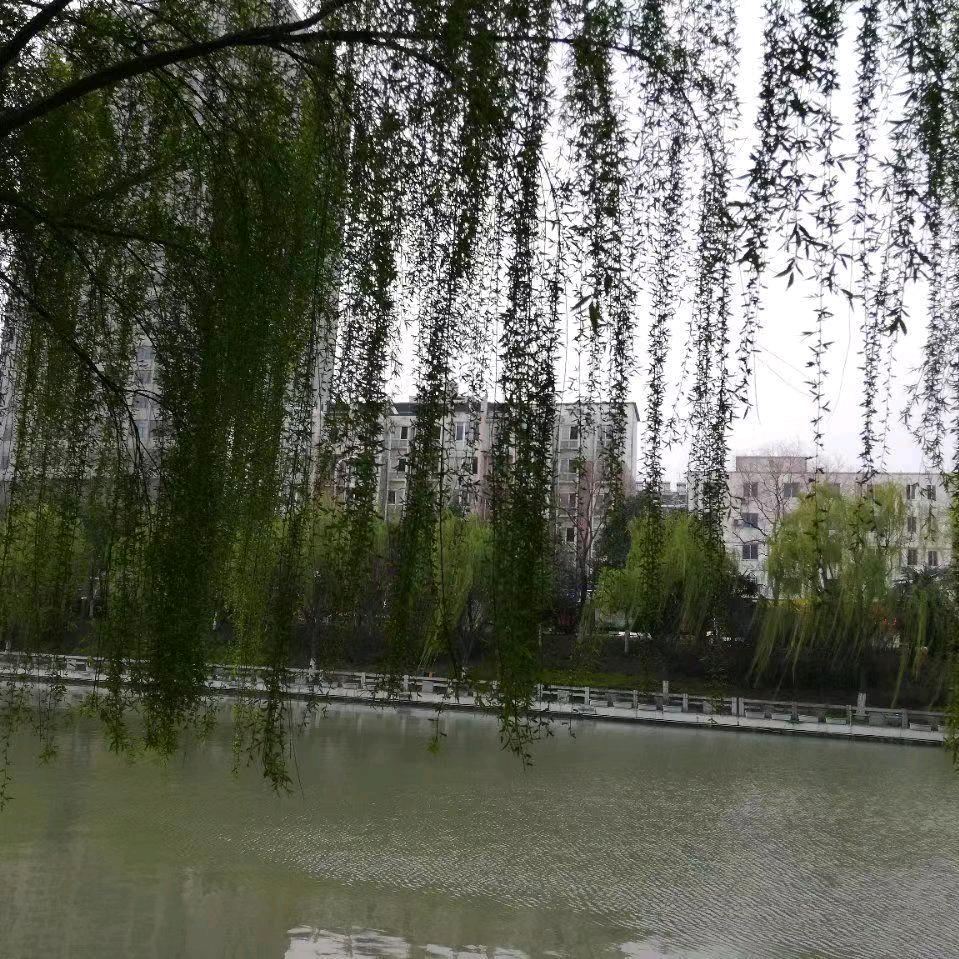 @曾经沧海