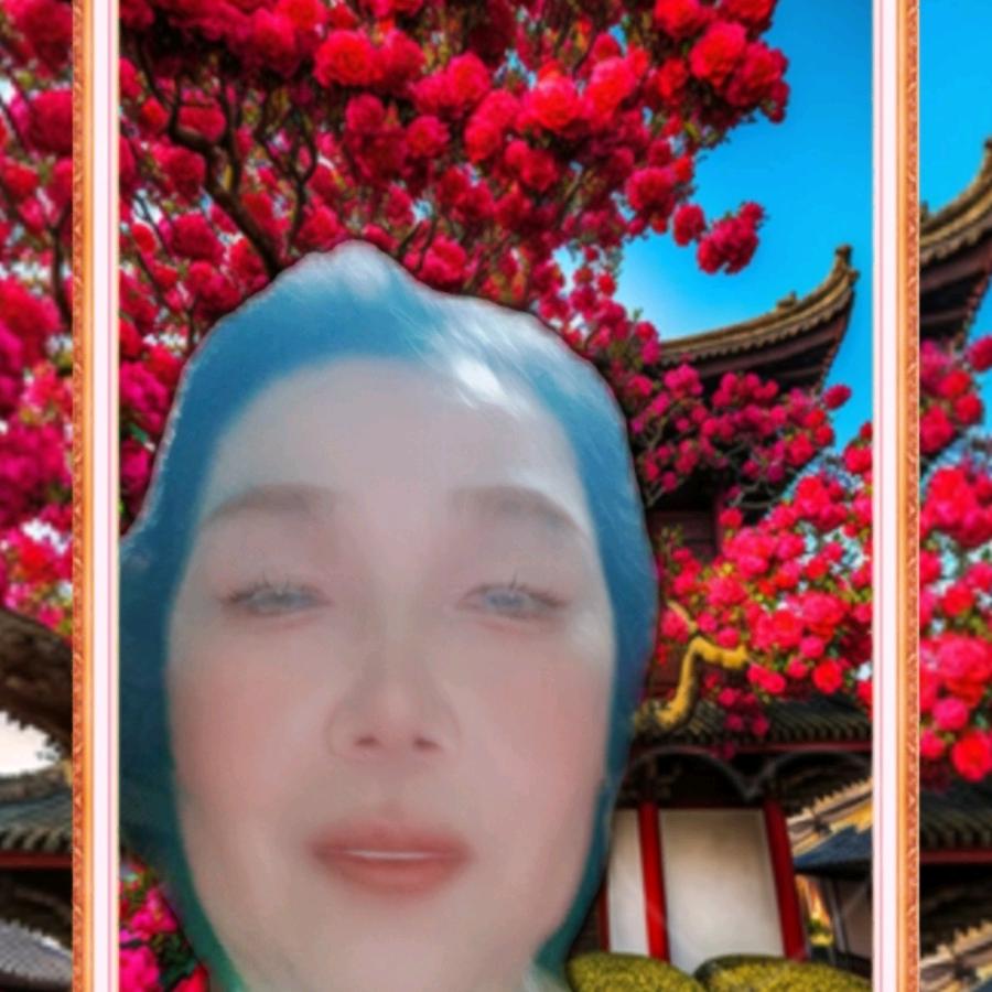 刘姥姥‘