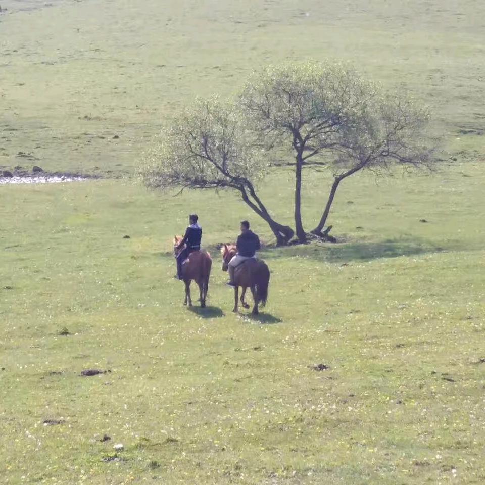 愿岁月可回首77