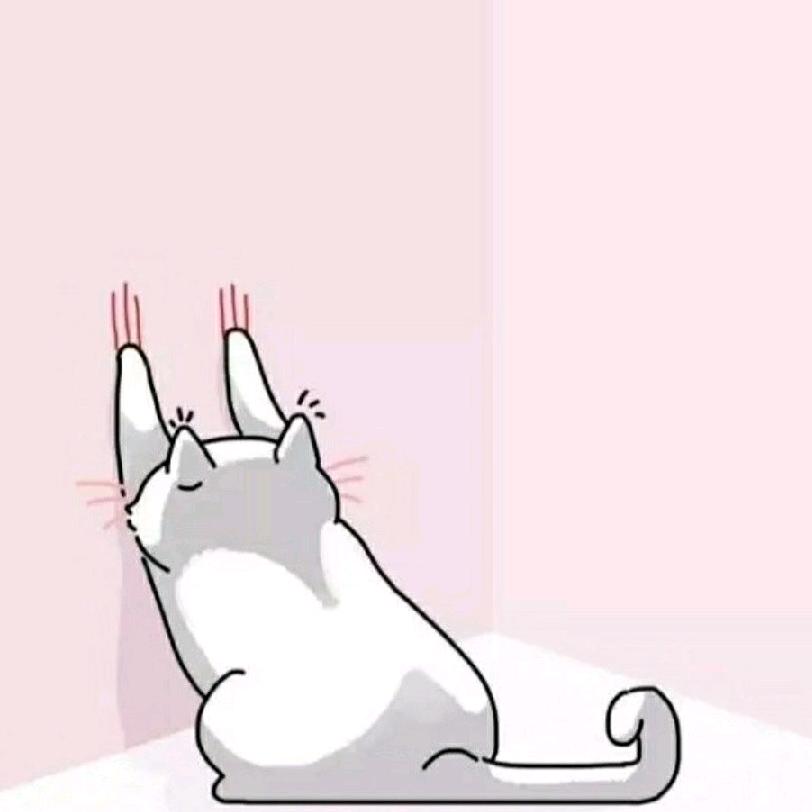 南