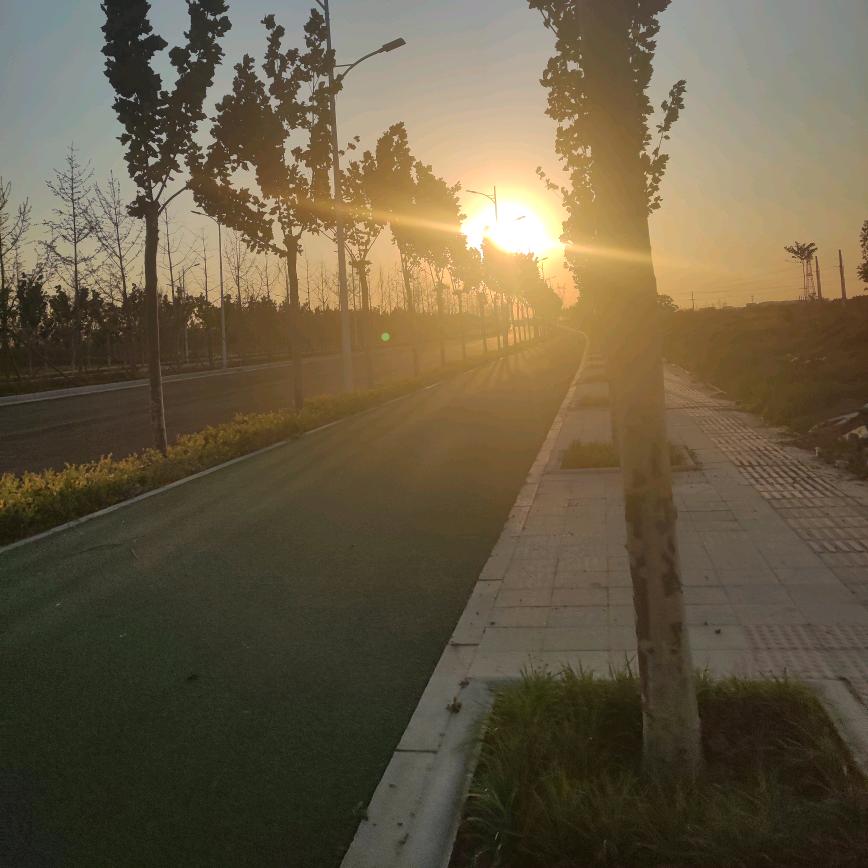 飞飞