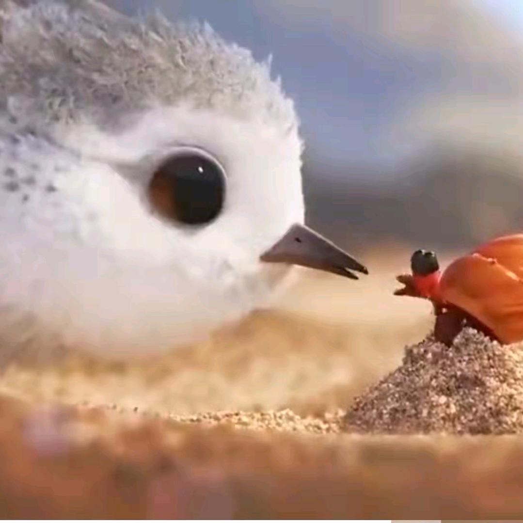 暗香痴雪