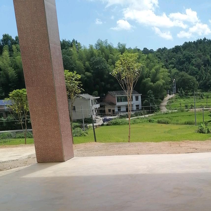 用户9235987962825