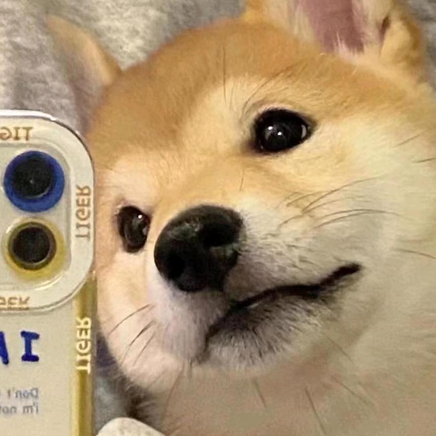 墨羽看世界