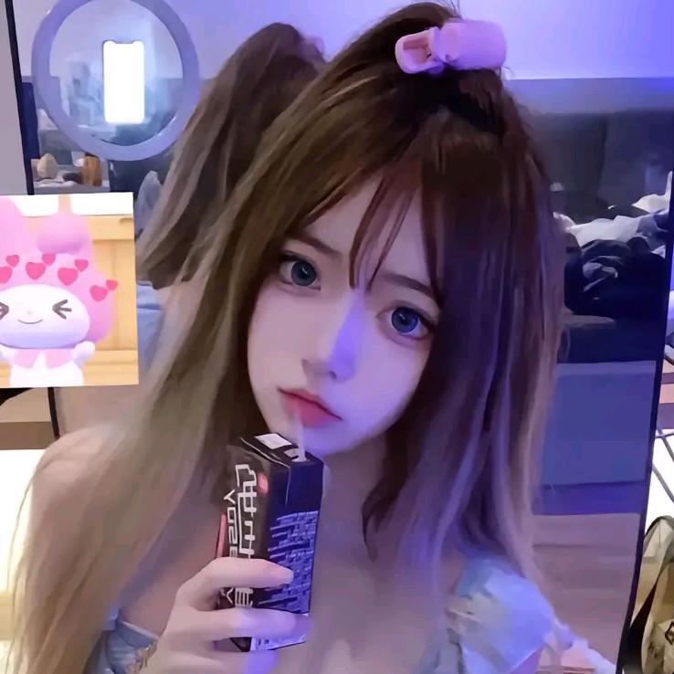 爱飞的猪