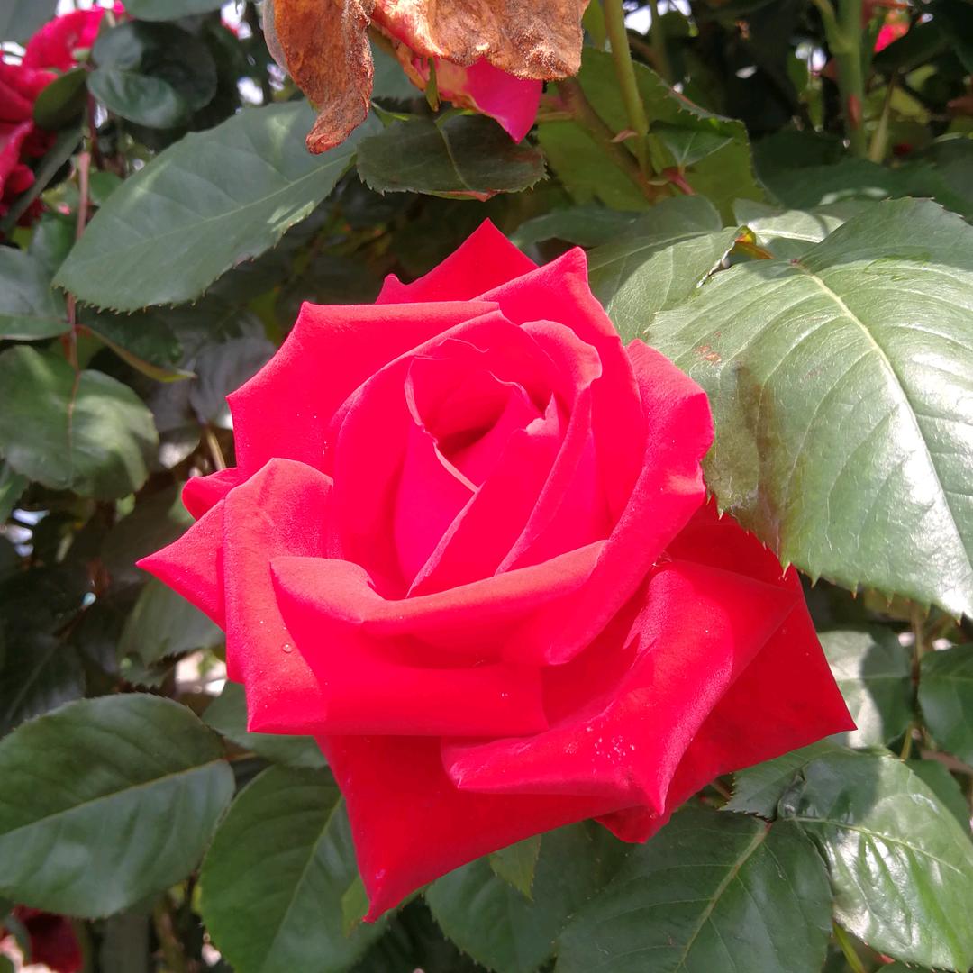 花姐套口加工厂