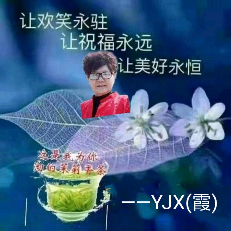 YJX(霞)