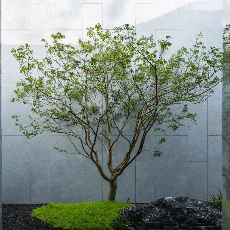 南京闽汉工程建筑有限公司