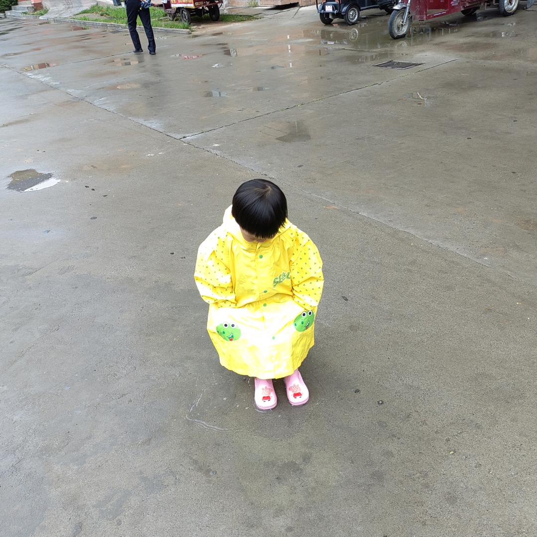 西瓜的秋天