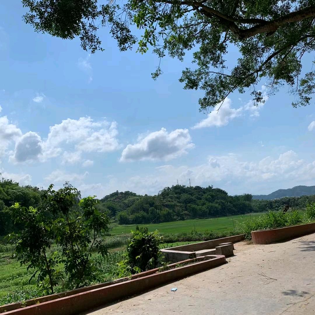 🌾何处灯火阑珊