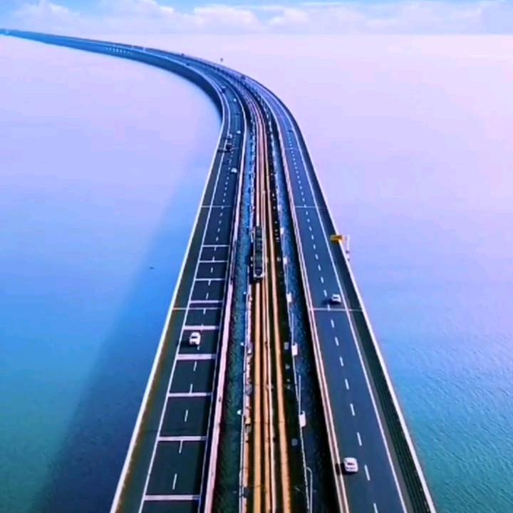牵着蚂蚁去漫步