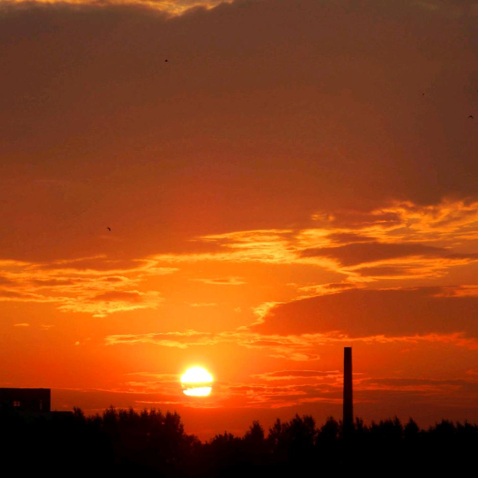 我想❤️半颗糖