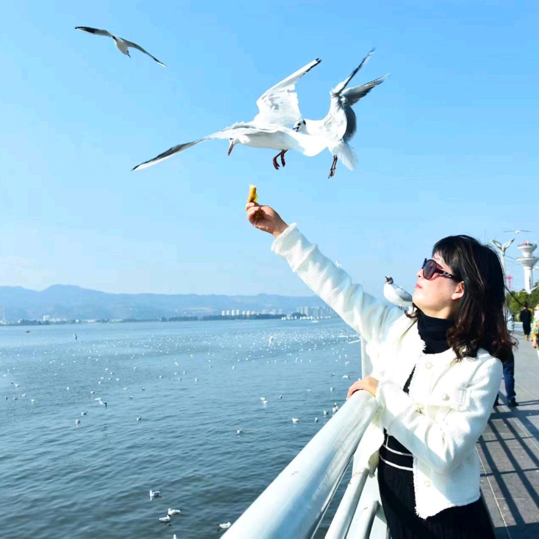 晓玲甄选