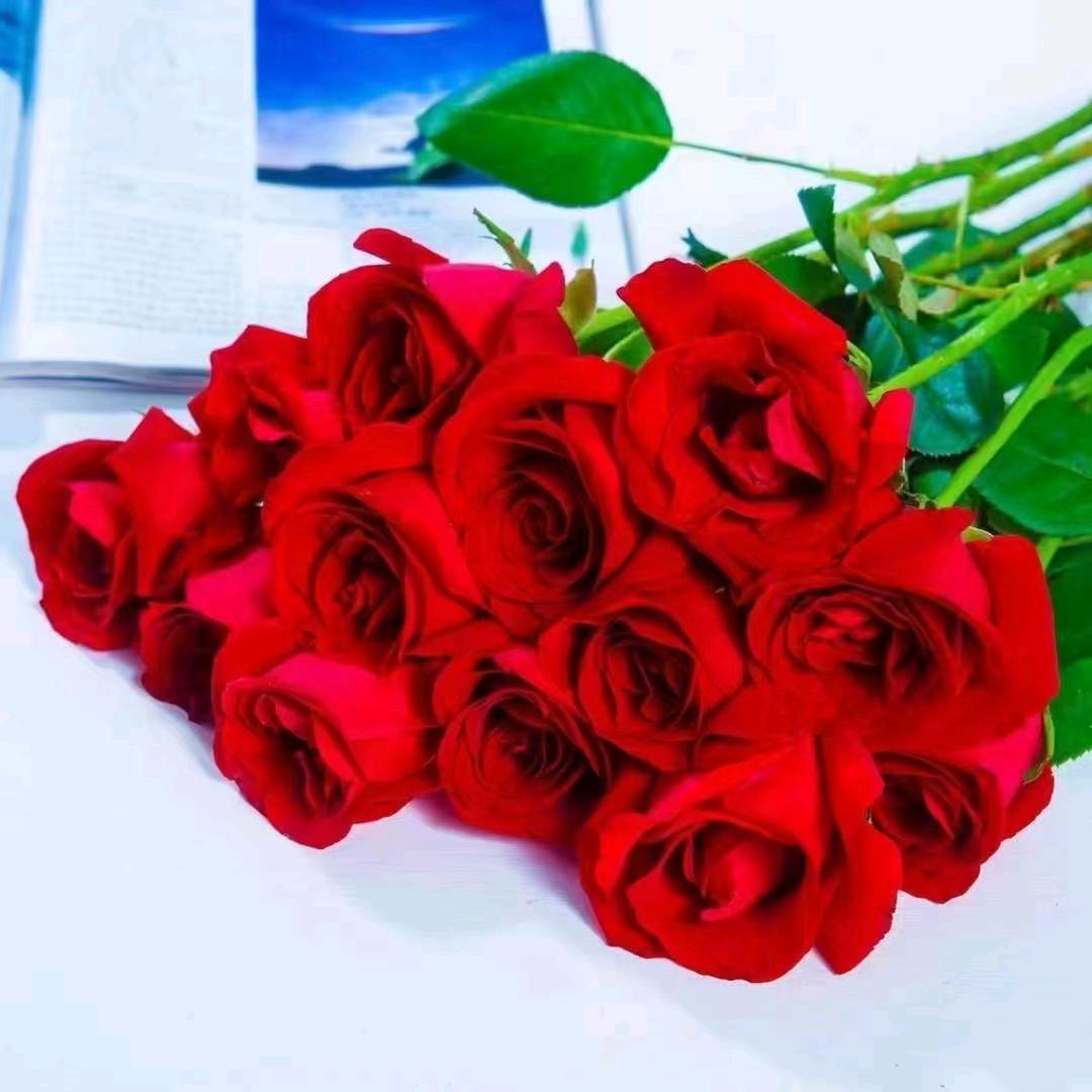 💋本宫不死，你终究是妾💋