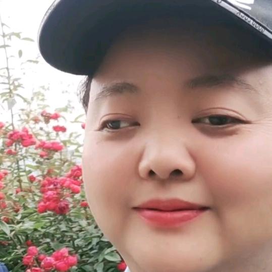 @梦想莲姐