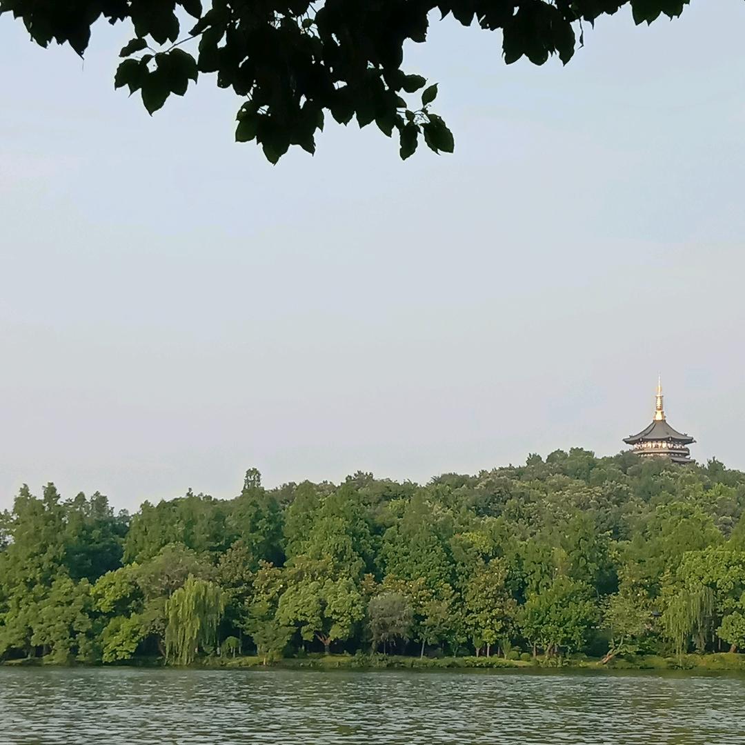 zp烧饼