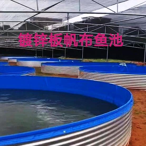 现代化科技镀锌板帆布鱼池养殖设备
