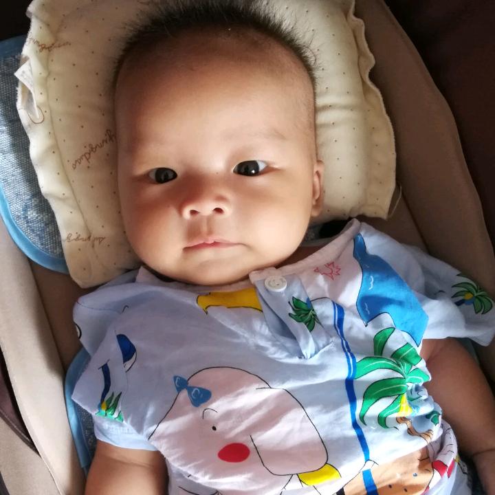老谢公