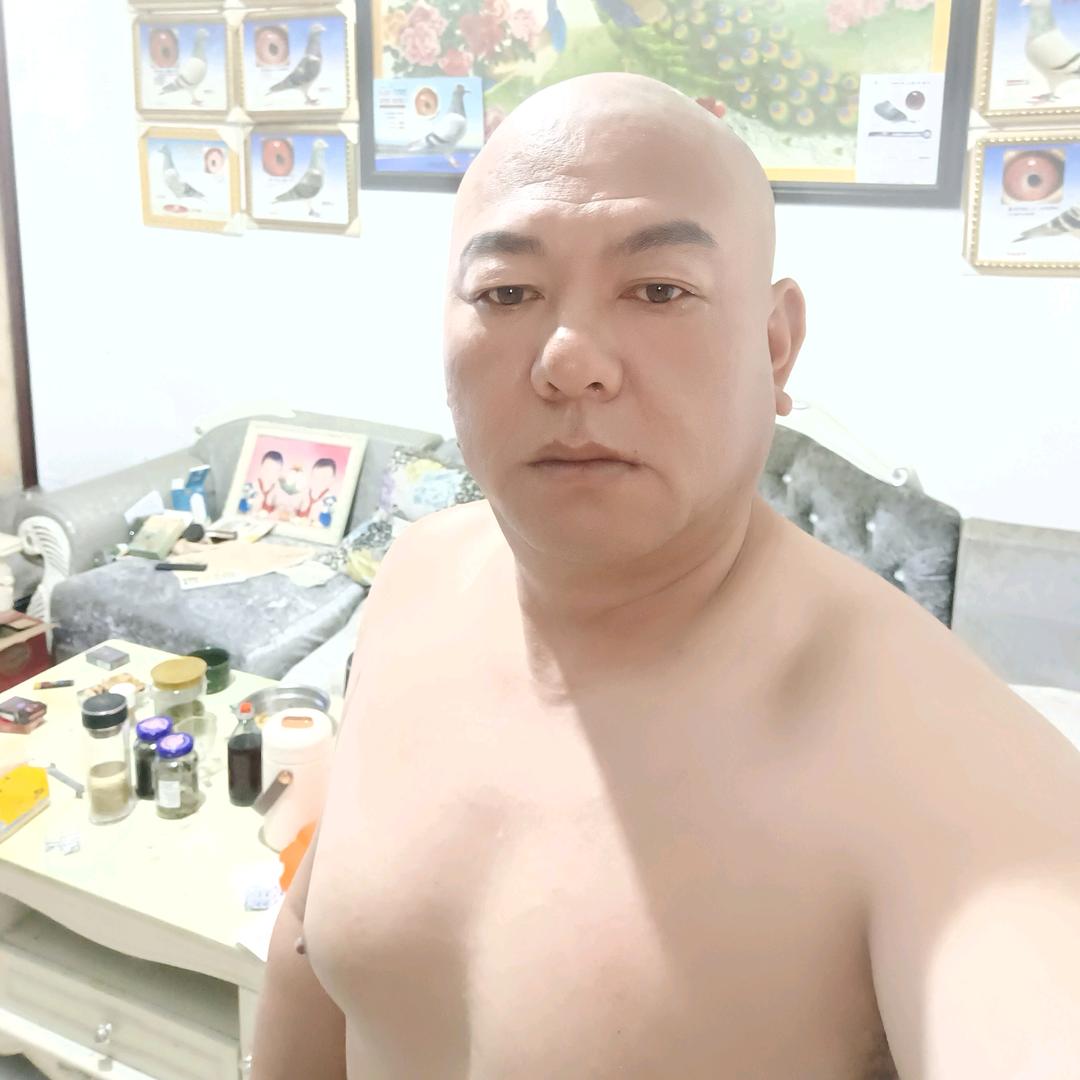 坤海鸽