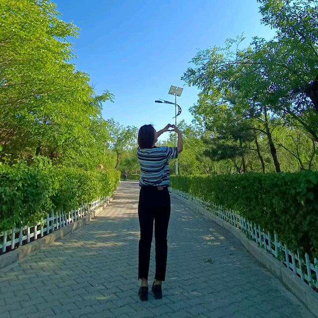 平安果