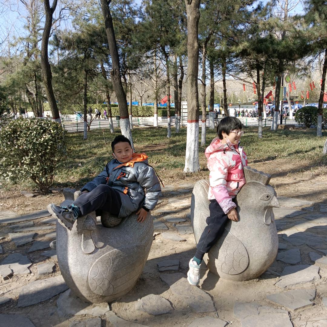 任泽区锅灶一气鲜炖小地锅