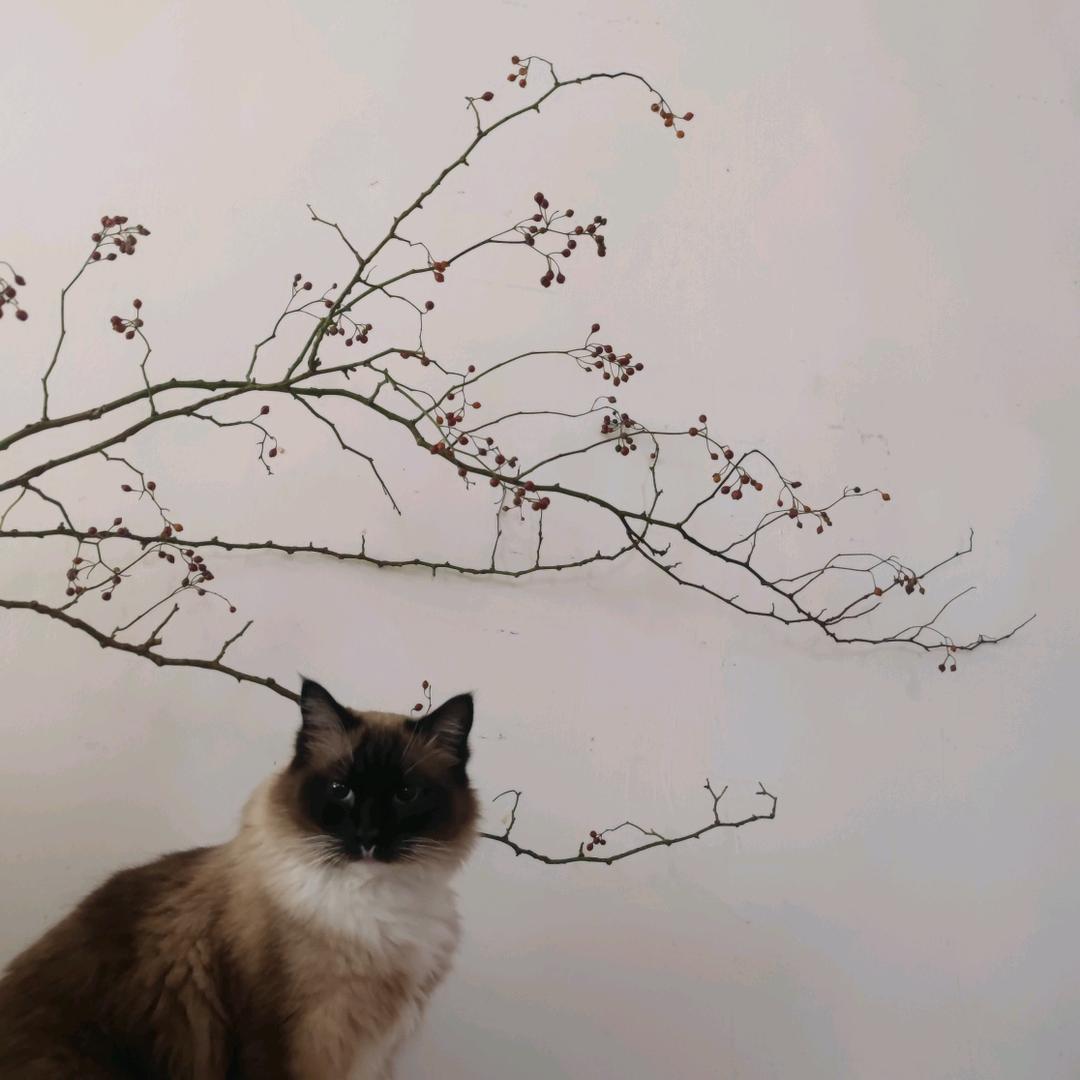 两个一百年