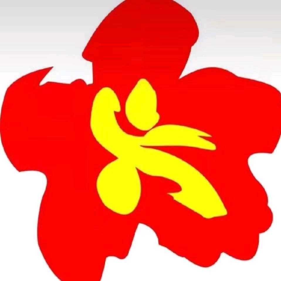 长垣梅花桩武校