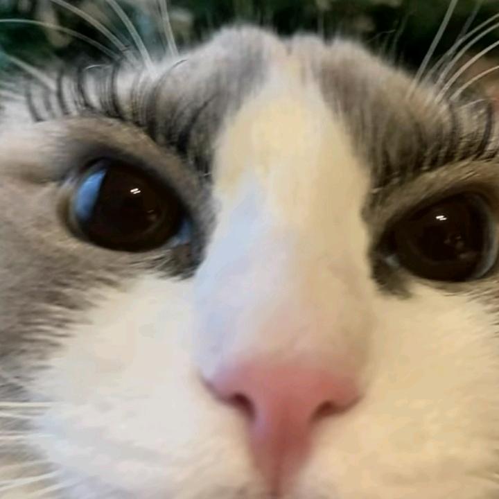 禾火秋
