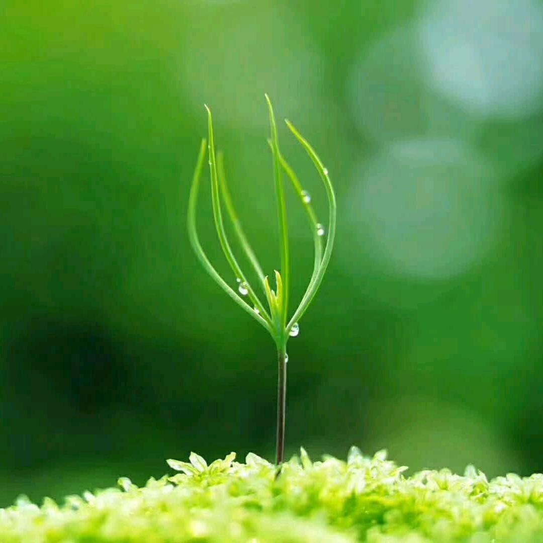 雨一直下