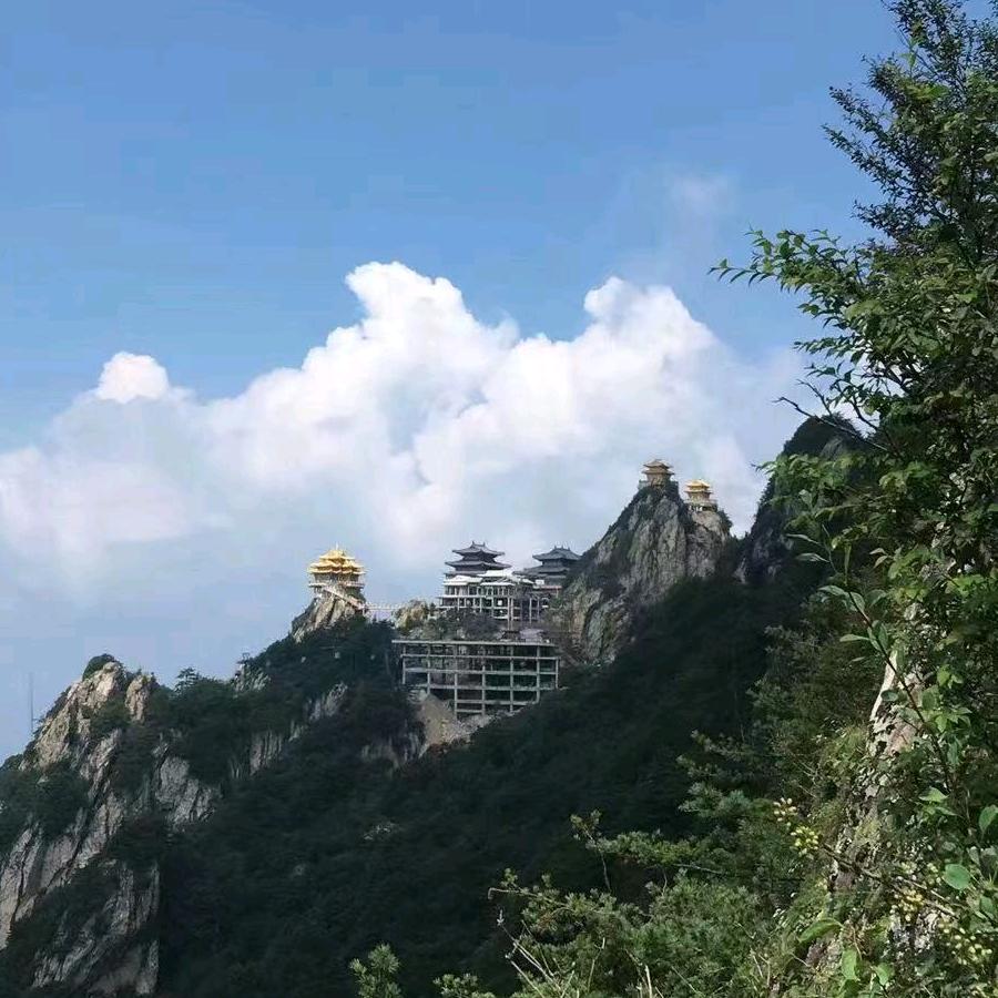 用户5898188282782