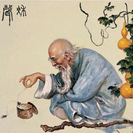 话多起腻