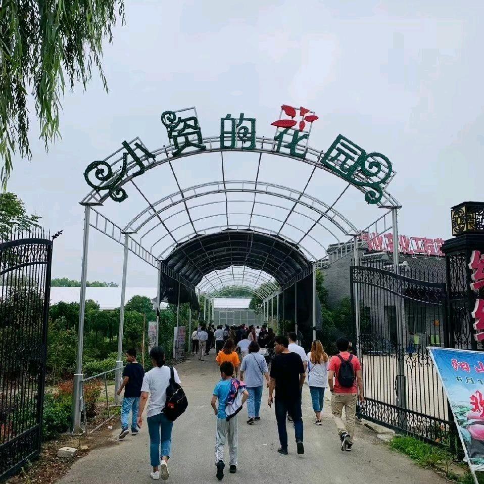小资花园(缤纷柳园)