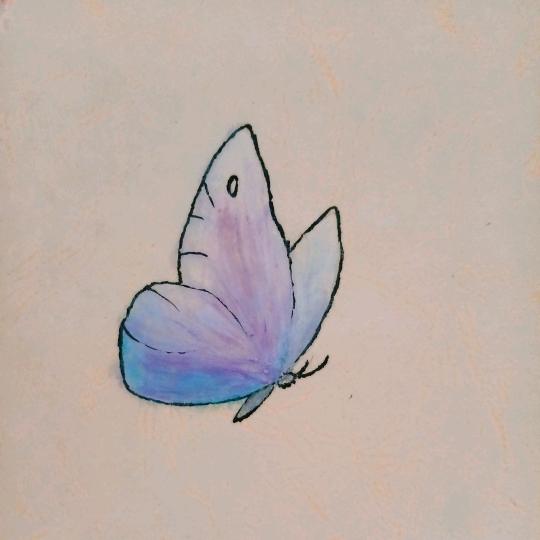 温柔的小河豚