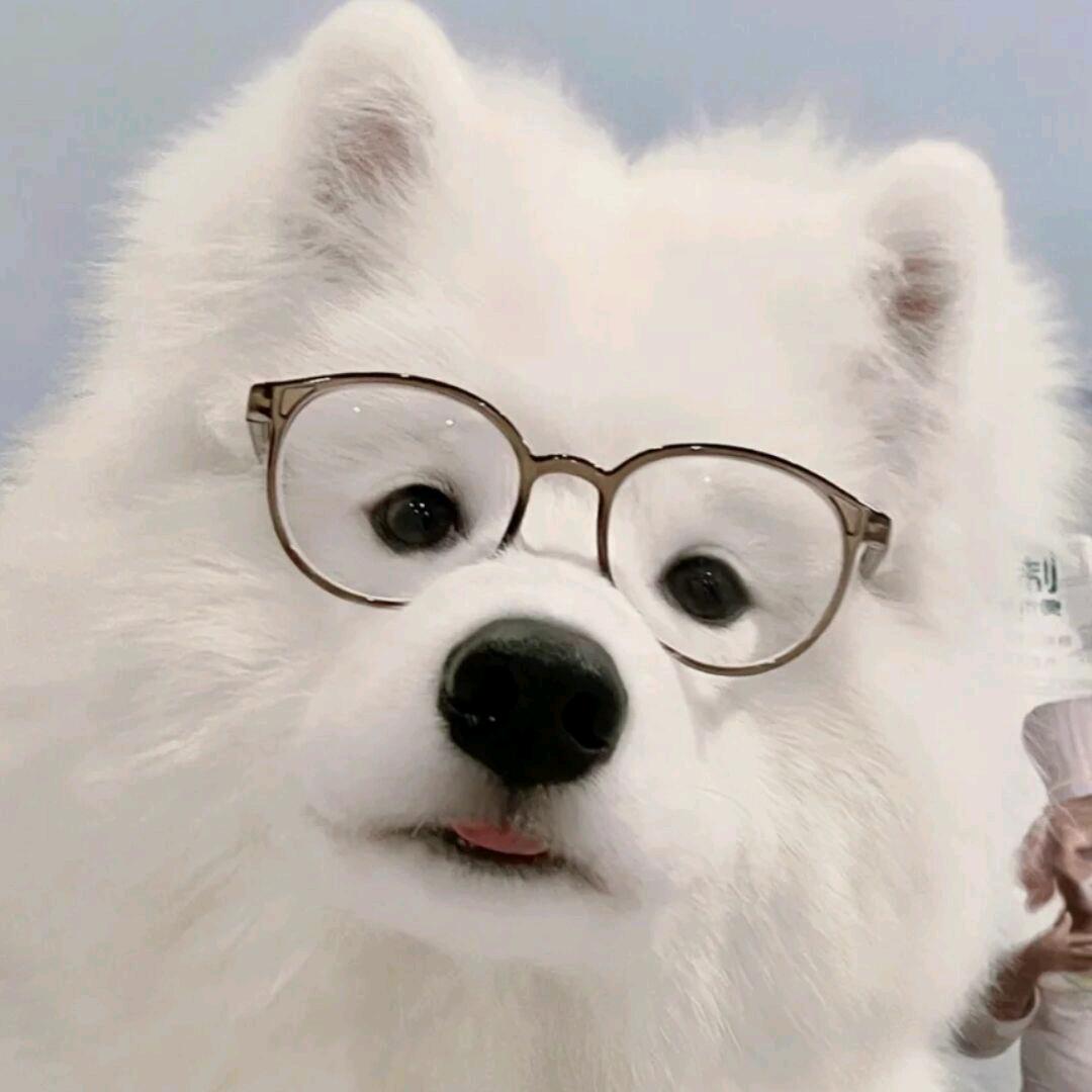 小石麻辣烫