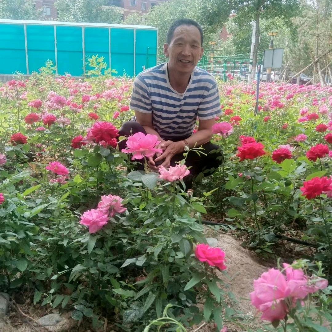 王明亮5755066548387