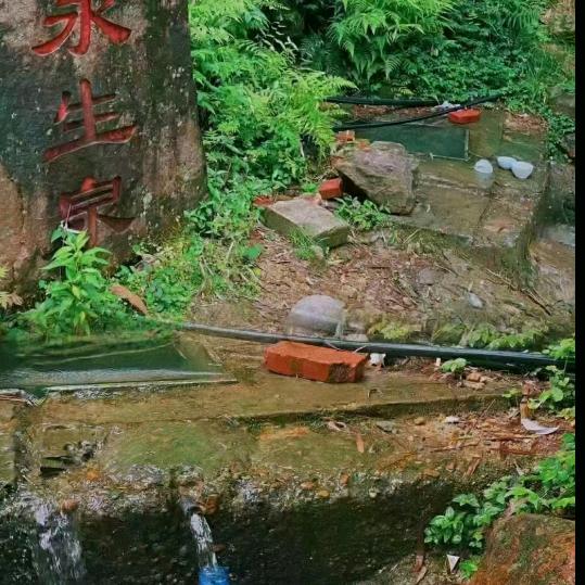 刘俊义