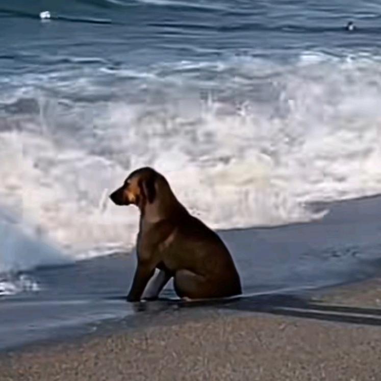 唯一只剩下遗憾