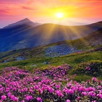 用户7403410437787幸福