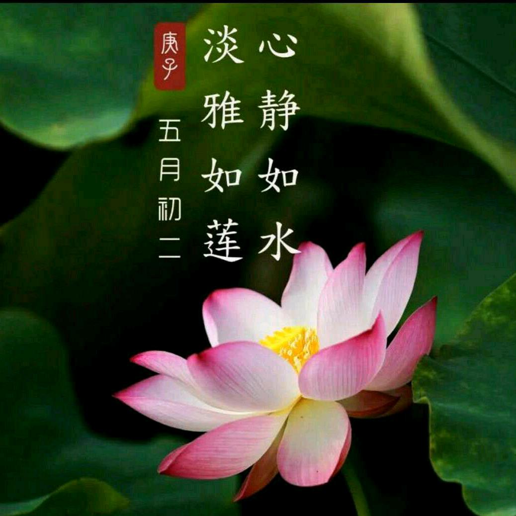 阳光12552