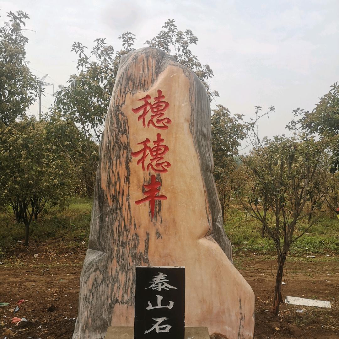 穗穗丰家庭农场