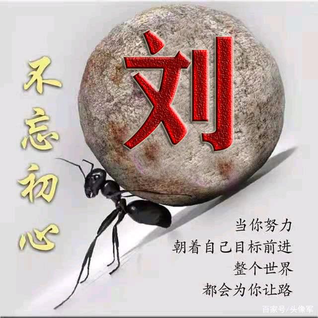 刘海