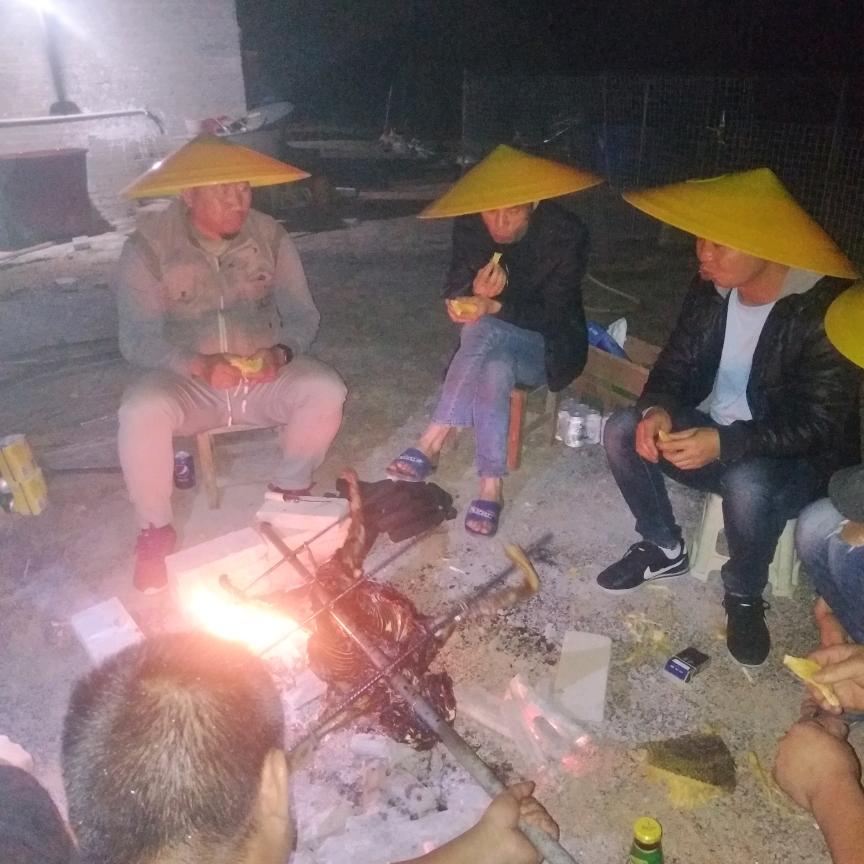 我何去何从呢